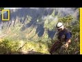 Hawaii's Unique Flora and Conservation Efforts