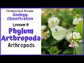 Arthropod Characteristics and Roles