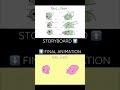 Understanding the Video Tutorial