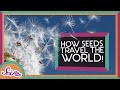 Seed Dispersal Methods and Mechanisms