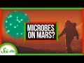 Mars Exploration and Microbial Survival