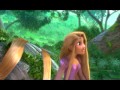 Understanding the Video Transcript