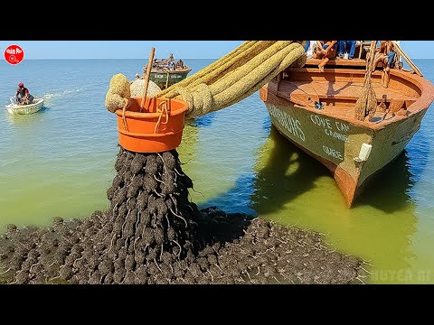 Họ Đã Tiêu Diệt Toàn Bộ Chuột Trên Đảo Và Một Năm Sau Mọi Người Đều Bị Sốc Vì Lý Do Này