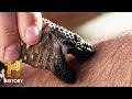 Understanding Creature Behavior and Sensations