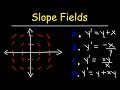 Understanding Slope Fields and Differential Equations