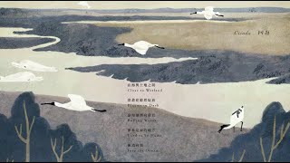 Cicada – 15週年自選集試聽 – 回返 Coastland Revisited – Preview