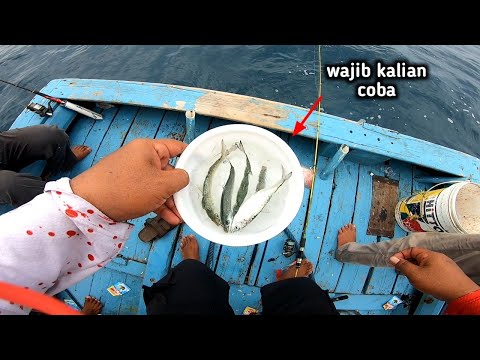 jangan bingung ketika bertemu gerombolan ikan ini!! lakukan cara ini