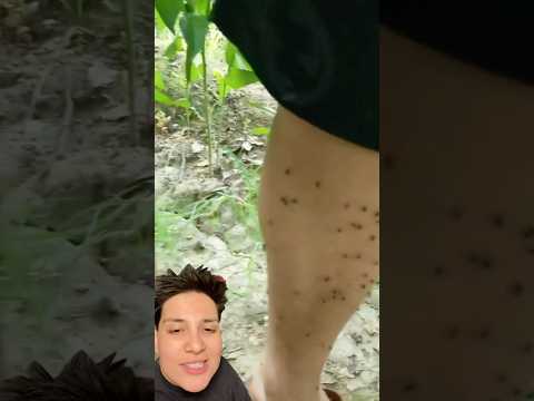 Sivrisinek uzaklaştıran saat! Mosquito watch-markadan dolayı mecbur reklam #mosquito #sinek