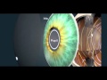 Understanding the Human Eye