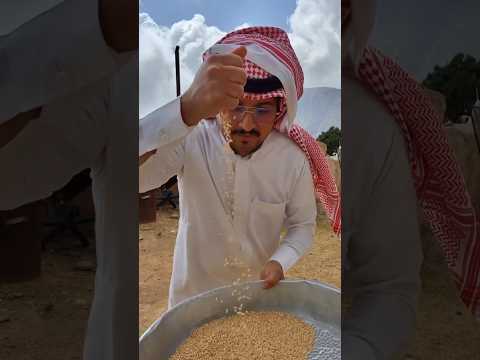 #فكرة #تجربة استخراج الزيت من القمح #تجارب #الصربي #السعودية #ابها