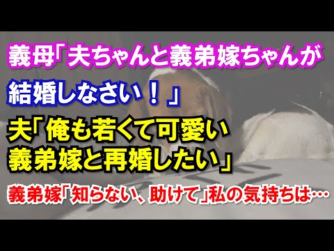 義母「夫ちゃんと義弟嫁ちゃんが結婚しなさい！」夫「俺も若くて可愛い義弟嫁と再婚したい」義弟嫁「知らない、助けて」私の気持ちは…