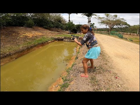 A ÁGUA TÁ BAIXANDO E OS PEIXES PODE NÃO SOBREVIVER NESSA VALA.