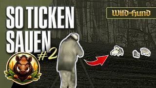 So ticken Sauen – Nach der Reparatur geht’s rund