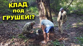 КЛАД под ГРУШЕЙ!? БАБУШКА поведала интересную историю! В поисках сокровищ / In search of treasures