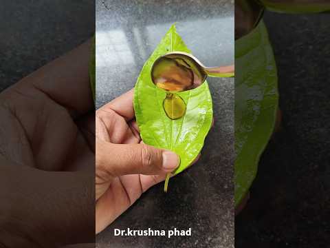 वस्तू एक फायदे अनेक #पान #reels #shorts #viral