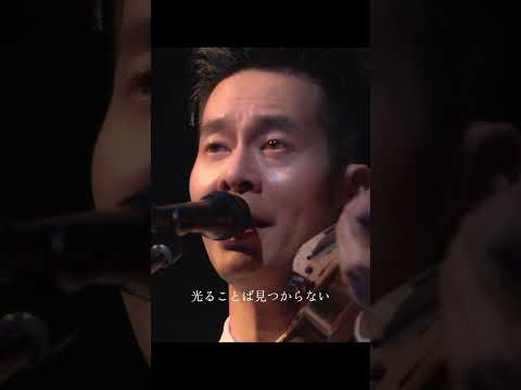 【期間限定公開】ハンバート ハンバート "虎" (ツアー2025「寝ても覚めても」at 大阪・オリックス劇場)🎄🎁🌟 #ハンバートハンバート#ハンバート入門 #ばけばけ