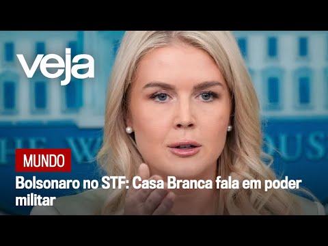 Trump “não hesita em usar poder militar” pela liberdade de expressão no mundo, diz porta-voz