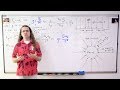 Gravitational Fields and Forces