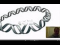 Molecular Biology Concepts and Mechanisms