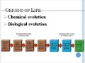 Evolutionary Milestones and Concepts