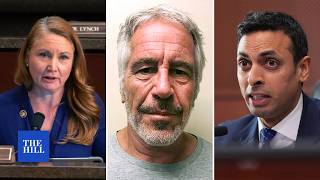 Rep. Subramanyam: 'I do believe [Epstein] did commit suicide'