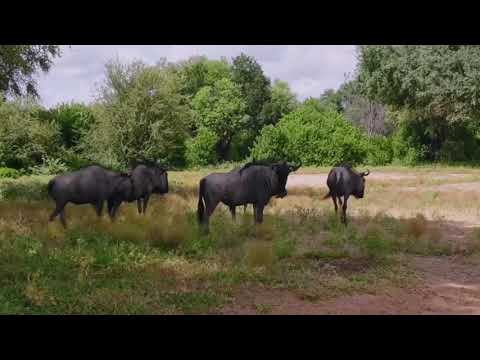 Eastern Botswana_Tuli Area