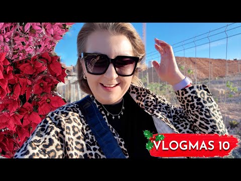 SKŁADAM PRZED WAMI OBIETNICĘ ⭐ PRZYMIARKI WÓZKA ⭐ PLANY NA TROCHĘ INNE ŚWIĘTA⭐ 🎄 VLOGMAS 10