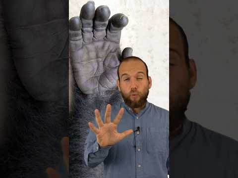 L’Evoluzione della Mano non è come te l'aspetti