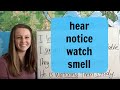 Understanding Perceptive Verbs Usage