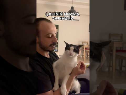 bi tık abartmıyo mu