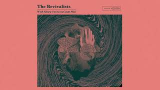 The Revivalists - Wish I Knew You (2025 Count Mix) [Official Visualizer]