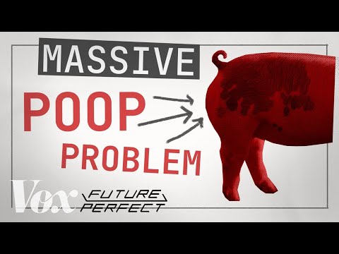 YouTube video thumbnail: North Carolina & Its Massive Hog Poop Problem