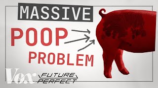 YouTube video thumbnail: North Carolina & Its Massive Hog Poop Problem
