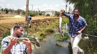 మిట్ట మధ్యాహ్నం Live లో  కొరమేను పట్టాను | after 4c 3 snake catch fish catching |ବଡ଼ ମାଛ କିପରି ଧରିବେ