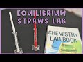 Equilibrium Reactions and Graphing