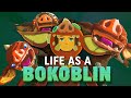 Understanding Bokoblins in Hyrule