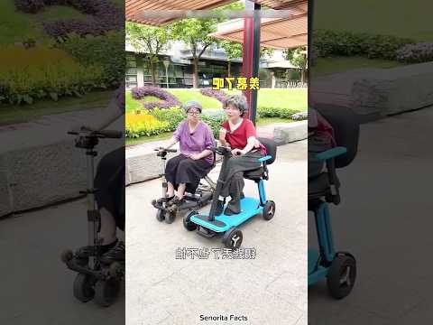 Sweety's Portable Bicycle