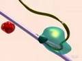 Transcription Process and Factors