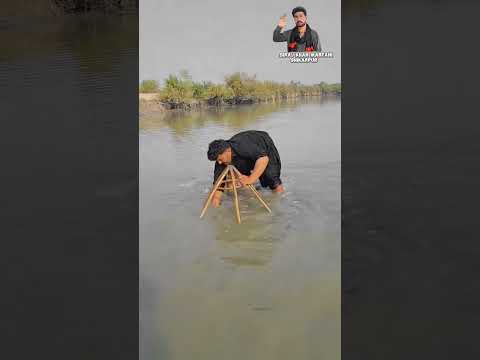 fishing 🎣 #comedy #fish #vlog #love #fishing #wildlife #crocodile #animals