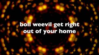 The Presidents of the United States of America - Boll Weevil (Lyric Video)