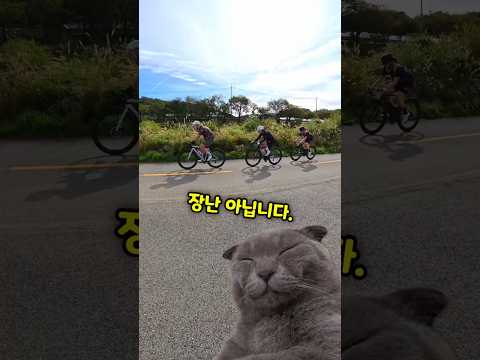 자전거 탈 때  너도나도 가끔하는 흔한 착각  🚴🚴🚴