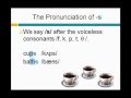Plural Nouns and Pronunciation