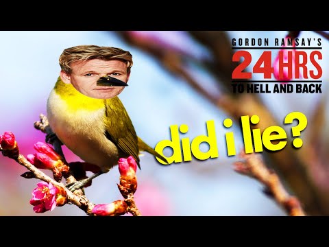 a little bird told me you haven't watched this yet??? | 24 Hours to Hell and Back | Gordon Ramsay