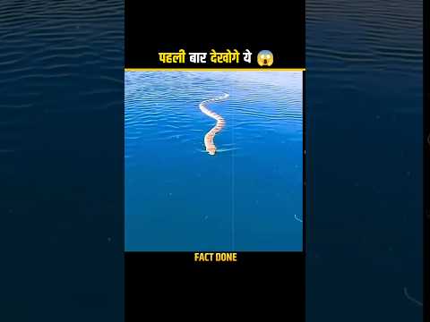 नहाने से पहले पत्थर क्यों फेकते है 🤯 #shorts