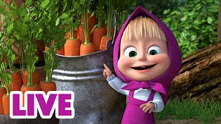 🔴 ПРЯМОЙ ЭФИР! LIVE Маша и Медведь 👱‍♀️🐻 Кто живёт за деревом? Лесные тайны... 👀🦊❓