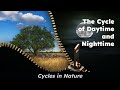 Earth's Rotation and Day-Night Cycle