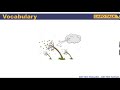 Understanding Windiness Concepts
