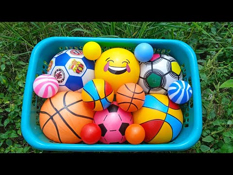 Mencari Bola Basket, Bola Sepak, Bola Karakter, Tayo, Popit, Bola Warna Warni