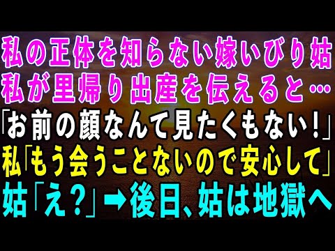 【スカッとする話】在宅ワークの私をニート扱いする義母。私が里帰り出産を伝えると「お前の顔なんて見たくもない！さっさと帰れ！」私「もう会うことないので安心して下さい」義母「え？」→後日…