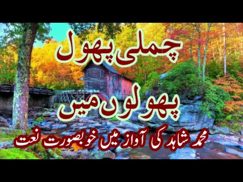 Chameli Phool Phooloo Main | Kids Naat